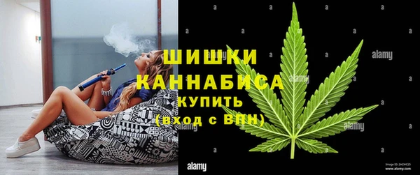 молекула духа Кулебаки