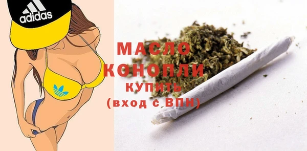 молекула духа Кулебаки