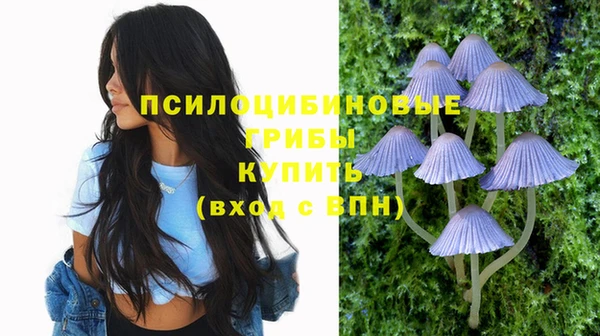 ПСИЛОЦИБИНОВЫЕ ГРИБЫ Валдай