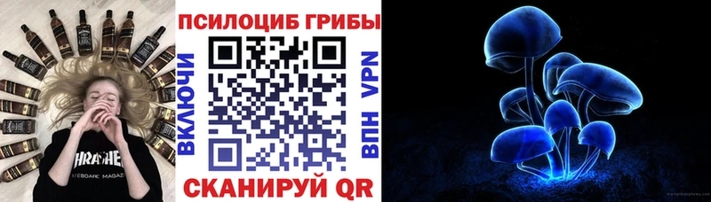 Галлюциногенные грибы мухоморы  кракен сайт  Курильск 